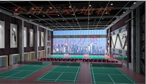 wanao万奥地板 羽毛球比赛专用地板 优质运动地板