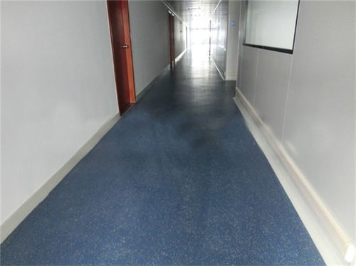 幼儿园塑胶地板生产厂家 幼儿园塑胶地板 长友科技 查看