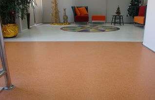 得嘉水晶系列塑胶地板 高清大图全览，感受非凡品质