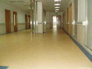 天津塑胶PVC地板 办公室与商业空间的理想地面解决方案